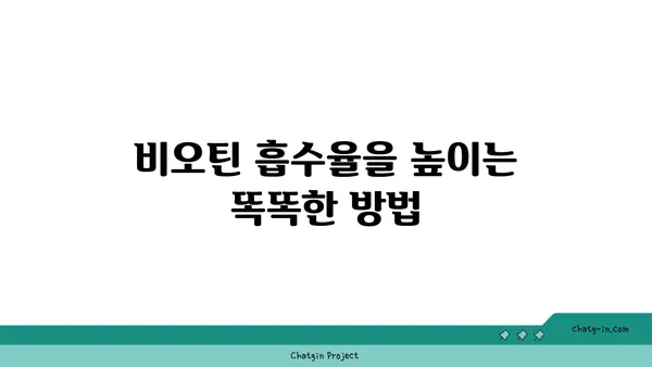 비오틴 흡수의 비밀| 체내 흡수 과정과 효율 높이는 팁 | 비오틴, 흡수, 영양소, 건강