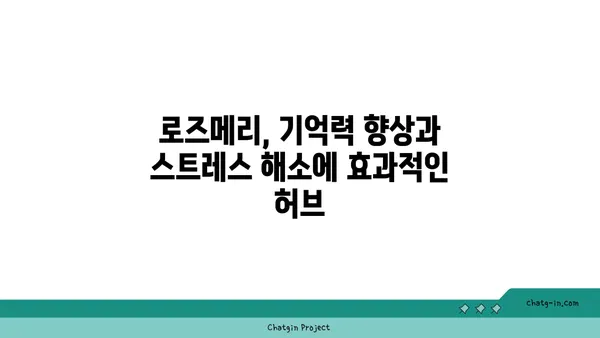 로즈메리의 놀라운 효능 7가지 | 허브, 건강, 요리, 향신료, 효능, 장점, 활용법