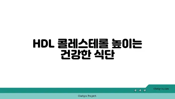 고밀도 지단백질(HDL)| 좋은 콜레스테롤, 건강하게 높이는 방법 | 고지혈증, 심혈관 건강, 콜레스테롤 관리