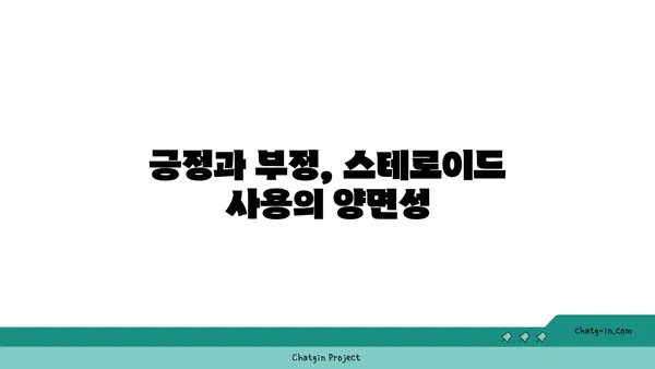 스테로이드 사용 후 삶의 변화| 나의 개인적인 경험 이야기 | 스테로이드, 부작용, 회복, 극복