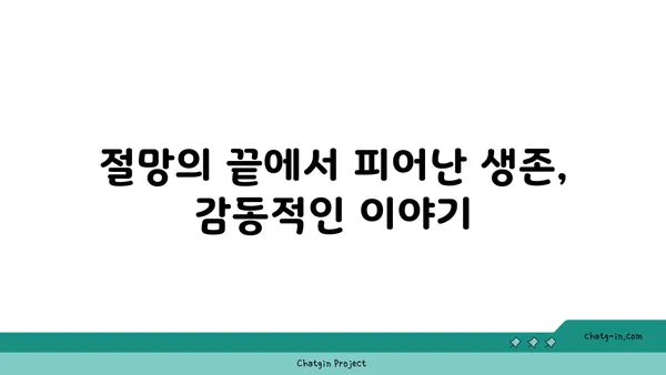 사랑벌레 극복, 생존자의 감동 실화| 희망을 찾는 용기 | 사랑벌레, 극복, 생존, 감동, 희망