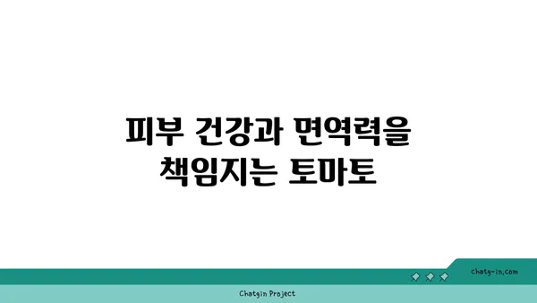 토마토의 강력한 항산화력| 건강 지키는 붉은 보석 | 항산화 효능, 건강 식품, 토마토 활용법