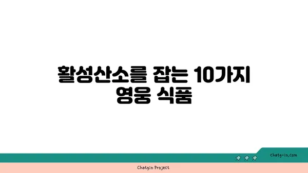 황산화 효과 높이는 10가지 식품 | 건강, 항산화, 면역력, 노화 방지