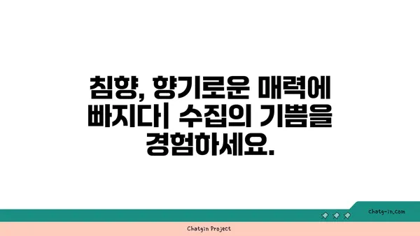 침향 수집| 향기로운 모험의 길 따라가기 | 침향, 향, 수집, 가이드, 팁