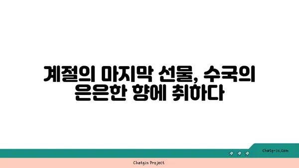 수국의 향기| 가을 정원의 달콤한 선물 | 수국, 가을 정원, 향기, 계절의 선물