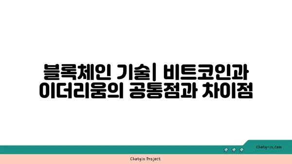 비트코인 vs 이더리움| 시장 경쟁과 공존의 미래 | 암호화폐, 블록체인, 투자 전망