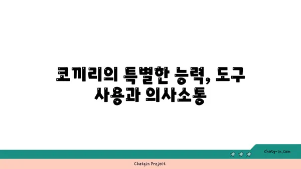 코끼리, 알고 보면 신기한 동물| 놀라운 능력과 특징 | 코끼리, 동물, 능력, 특징, 지능, 사회성