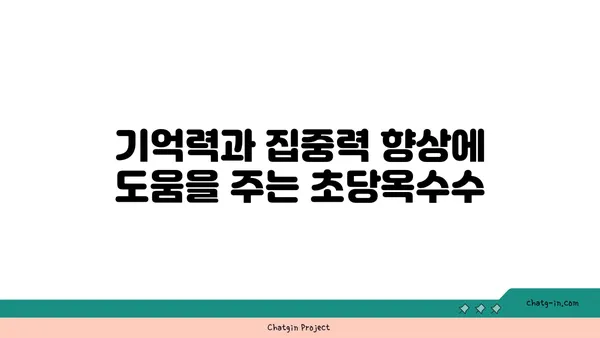 초당옥수수의 놀라운 신경 보호 효능| 과학적 근거와 실제 효과 | 뇌 건강, 항산화, 기억력, 집중력