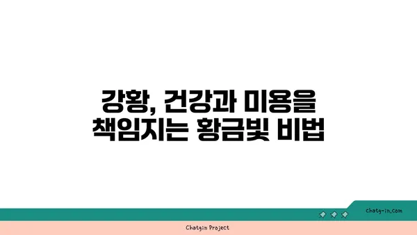 강황의 놀라운 효능 7가지| 건강, 미용, 요리까지 | 강황 효능, 강황 레시피, 커큐민