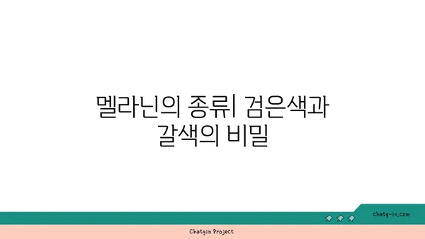 멜라닌의 비밀| 피부, 모발, 눈 색깔을 결정하는 멜라닌의 역할과 종류 | 피부색, 멜라닌 생성, 색소 침착