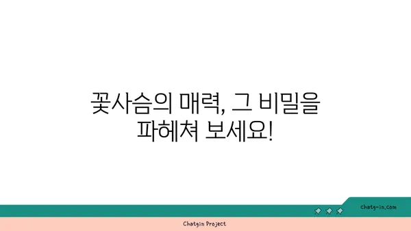 꽃사슴의 매력에 빠지다| 한국에서 만날 수 있는 꽃사슴 종류와 서식지 | 꽃사슴, 한국, 서식지, 종류, 정보