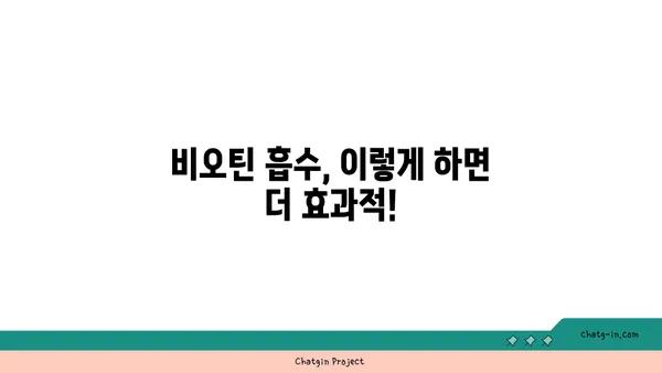 비오틴 흡수의 비밀| 체내 흡수 과정과 효율 높이는 팁 | 비오틴, 흡수, 영양소, 건강