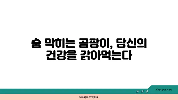 집안 좀, 건강과 행복을 위협하다| 당신의 삶에 미치는 영향 | 곰팡이, 습기, 건강 문제, 해결책