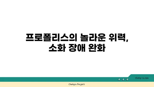 프로폴리스의 위장 건강| 소화 장애 완화 | 프로폴리스 효능, 위장 건강 개선, 소화불량 해결