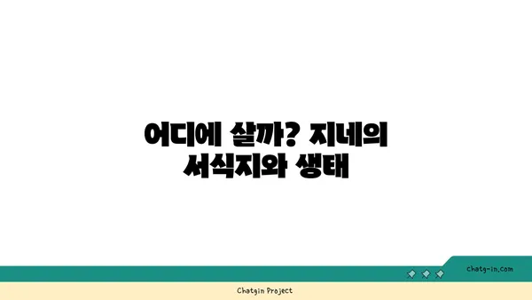 지네, 알아야 할 정보 총정리 | 다양한 종류, 특징, 서식지, 그리고 주의 사항