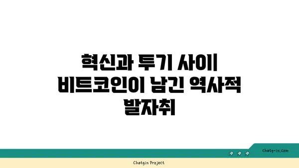 비트코인의 롤러코스터| 흥망성쇠를 거치며 배우는 교훈 | 암호화폐, 투자, 역사, 분석