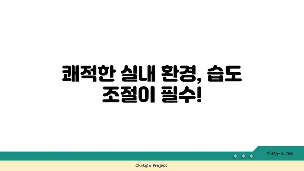 쾌적함을 위한 습도 조절| 건강을 위한 최적 상대 습도 가이드 | 습도, 건강, 실내 환경, 쾌적함