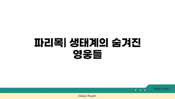 파리목의 비밀| 생태계의 중요한 역할과 다양한 종류 알아보기 | 파리목, 곤충, 생태계, 분류