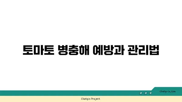 텃밭에서 싱싱한 토마토 수확하기| 토마토 재배 완벽 가이드 | 토마토, 재배, 텃밭, 팁, 방법, 관리