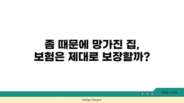 좀 때문에 망가지는 내 집, 얼마나 손해일까? | 숨겨진 비용 폭로, 좀의 재정적 영향