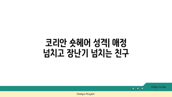 코리안 숏헤어 완벽 가이드| 성격, 건강, 관리, 그리고 입양까지 | 고양이, 품종, 특징, 키우기