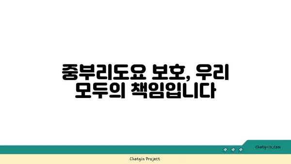 중부리도요의 비밀| 생태, 분포, 보호 | 멸종위기종, 철새, 서식지, 보존