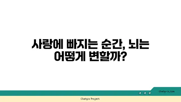 러브버그, 심리적 접근법으로 이해하기 | 사랑, 매력, 관계, 심리