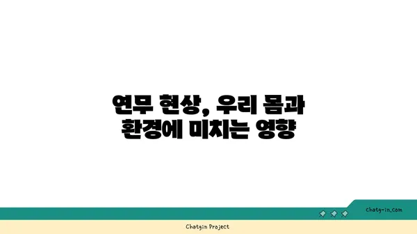 연무 현상| 원인 분석 및 대처 방안 | 대기오염, 미세먼지, 환경 문제