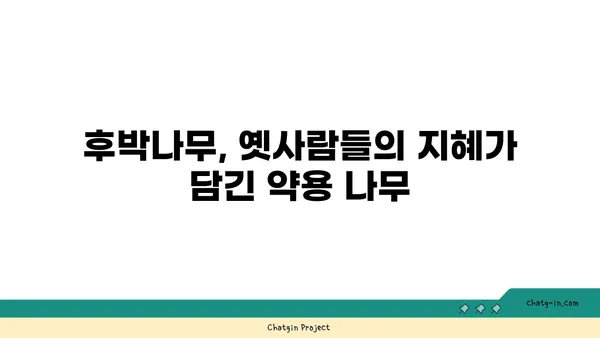 후박나무의 매력| 약효, 재배, 그리고 전설 | 나무, 약용식물, 전통 지식, 민간요법