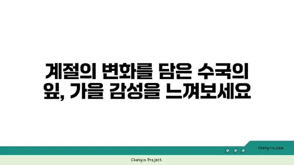 수국의 잎, 가을 색으로 물들다| 계절의 변화를 감상하는 특별한 방법 | 수국, 가을, 단풍, 잎, 감상