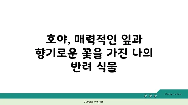 호야 키우기 완벽 가이드| 종류별 특징부터 관리 팁까지 | 호야, 식물 키우기, 실내 식물, 공기 정화 식물, 반려 식물