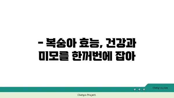 복숭아의 햇볕이 익은 맛| 영양학적 가치와 맛의 조화 | 복숭아 효능, 복숭아 품종, 복숭아 요리