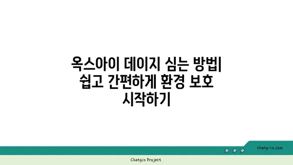 탄소 배출 감소에 도움이 되는 옥스아이 데이지| 심는 방법과 효과 | 탄소 중립, 환경 보호, 식물의 힘