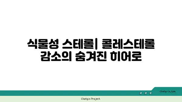 콜레스테롤 수치 낮추는 천연 방법| 식물성 스테롤과 오메가-3 지방산 | 건강 식단, 건강 관리, 고지혈증