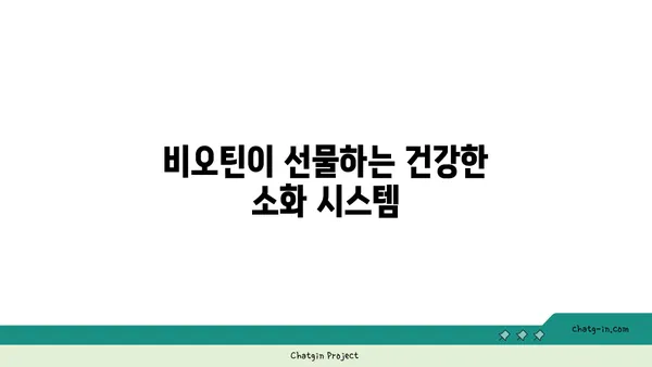 비오틴이 소장 건강에 미치는 영향| 알아야 할 5가지 효능 | 비오틴, 소장, 건강, 영양소, 장 건강