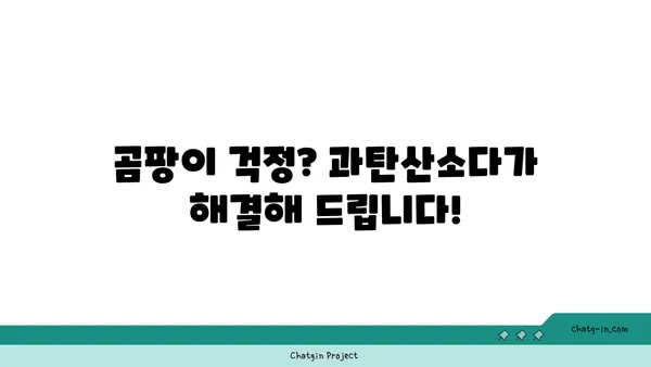 과탄산소다의 놀라운 변신! | 생활 속 유용한 활용법 10가지  | 세척, 탈취, 곰팡이 제거, 천연 세제