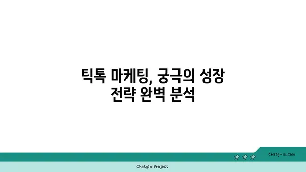 틱톡 마케팅 성공 전략| 팔로워 늘리고 인플루언서 되는 비법 | 틱톡, 마케팅, 인플루언서, 성장 전략