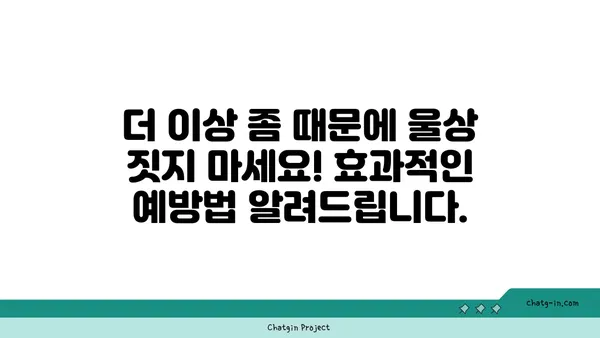 좀 때문에 울상? 😱 집안 곳곳 숨겨진 비용, 솔직하게 밝힙니다 | 좀, 재정적 피해, 숨겨진 비용, 해결 방안