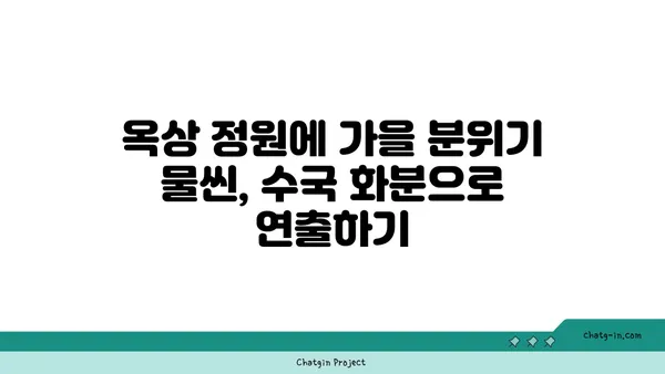 옥상 정원 가을 분위기 연출| 수국 화분 심기 가이드 | 옥상 정원, 가을, 수국, 화분 심기, 정원 가꾸기