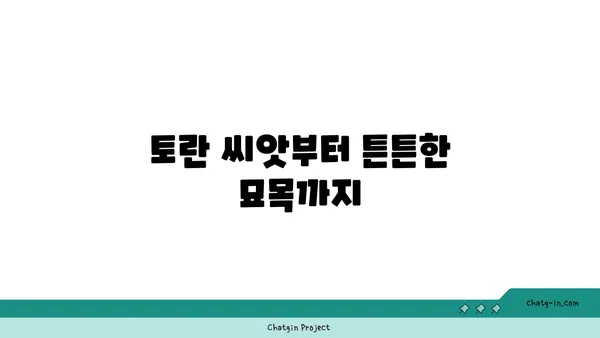 토란 재배 성공 가이드| 씨앗부터 수확까지 완벽한 팁 | 토란 재배, 토란 키우기, 토란 농사