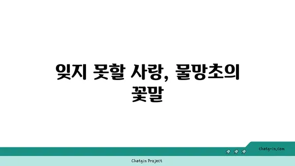 물망초 꽃말과 전설| 잊지 못할 사랑의 의미 | 꽃말, 전설, 의미, 사랑, 선물, 기념