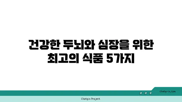 두뇌 안개 걷어내고 심장 건강까지 챙기는 5가지 최고의 음식 | 두뇌 건강, 심장 건강, 건강 식단, 뇌 기능 개선, 심혈관 건강