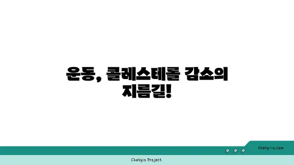 콜레스테롤 싸움 승리| 성공적인 박멸을 위한 3가지 필수 전략 | 건강, 고지혈증, 콜레스테롤 관리