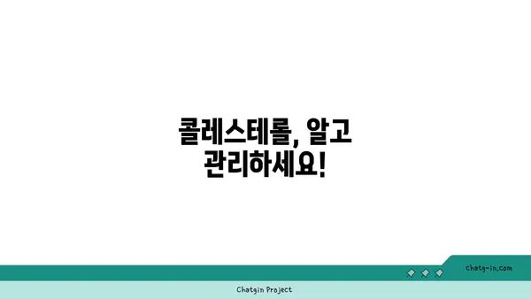 지지식 콜레스테롤 관리| 건강 관찰과 생활 습관 개선 가이드 | 콜레스테롤, 건강 관리, 식단, 운동