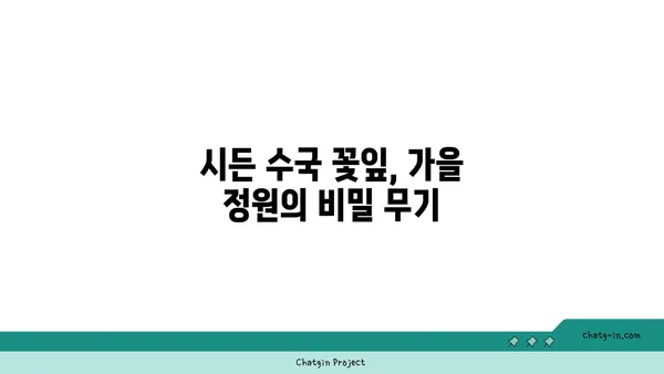 수국의 꽃잎 뿌리기| 가을 정원에 마법을 더하다 | 수국 꽃잎, 가을 정원, 퇴비, 영양 공급, 자연 친화적 정원 관리