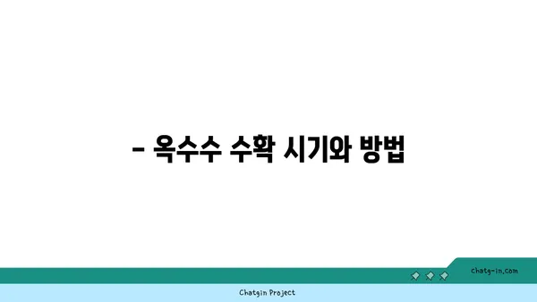 옥수수 재배 성공을 위한 완벽 가이드 | 옥수수 심는 시기, 품종, 관리법, 수확 팁