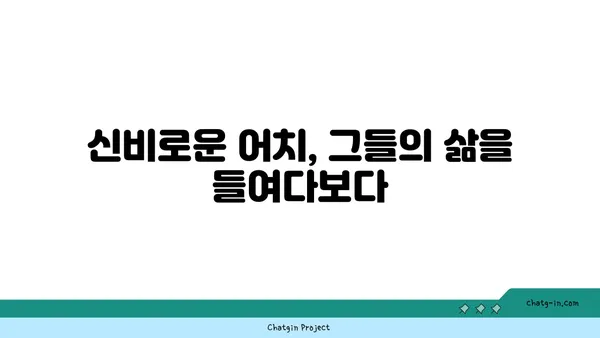 어치의 비밀| 흥미로운 생태와 행동 | 조류 관찰, 야생 동물, 어치 특징