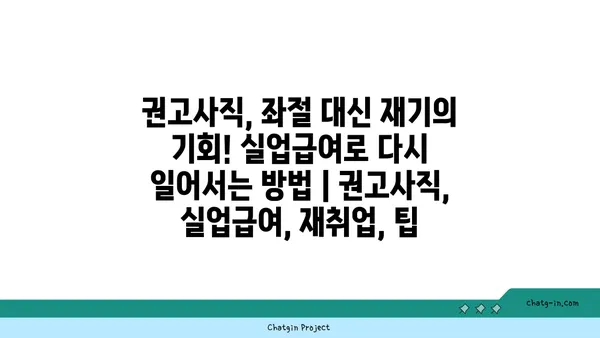 권고사직, 좌절 대신 재기의 기회! 실업급여로 다시 일어서는 방법 | 권고사직, 실업급여, 재취업, 팁