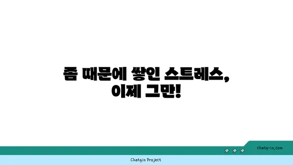 난잡한 좀 때문에 스트레스 받으세요? 깨끗한 집으로 바꾸는 5가지 실천법 | 좀 퇴치, 집 청소, 깨끗한 환경