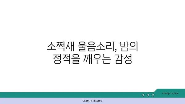 소쩍새의 울음소리, 밤하늘의 신비를 담다 | 소쩍새, 울음소리, 야행성, 봄, 밤